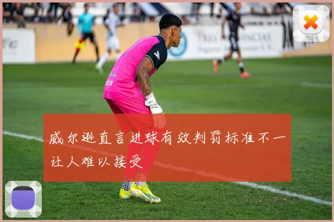 威尔逊直言进球有效判罚标准不一让人难以接受