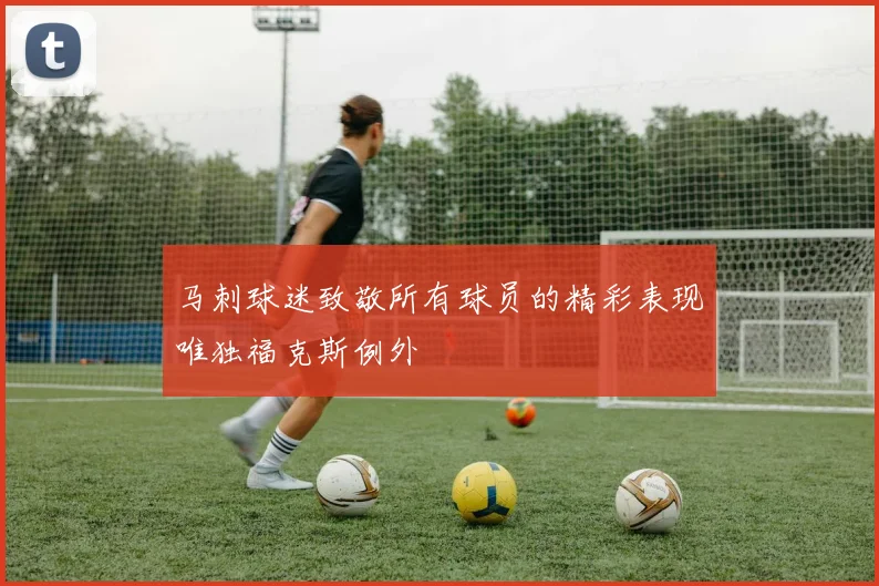 马刺球迷致敬所有球员的精彩表现唯独福克斯例外